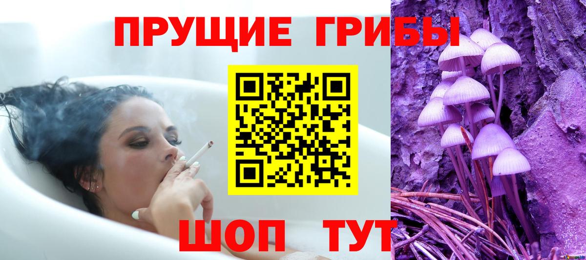 Кизляр  Псилоцибиновые грибы GOLDEN TEACHER  Вход с VPN  Галлюциногенные грибы Psilocybe 